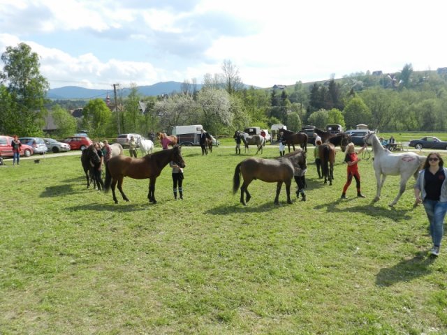 Rajd Mszana Górna 2015